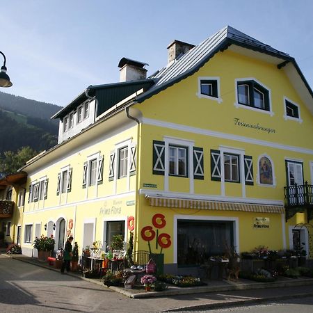 Ferienappartement Royer Schladming Extérieur photo