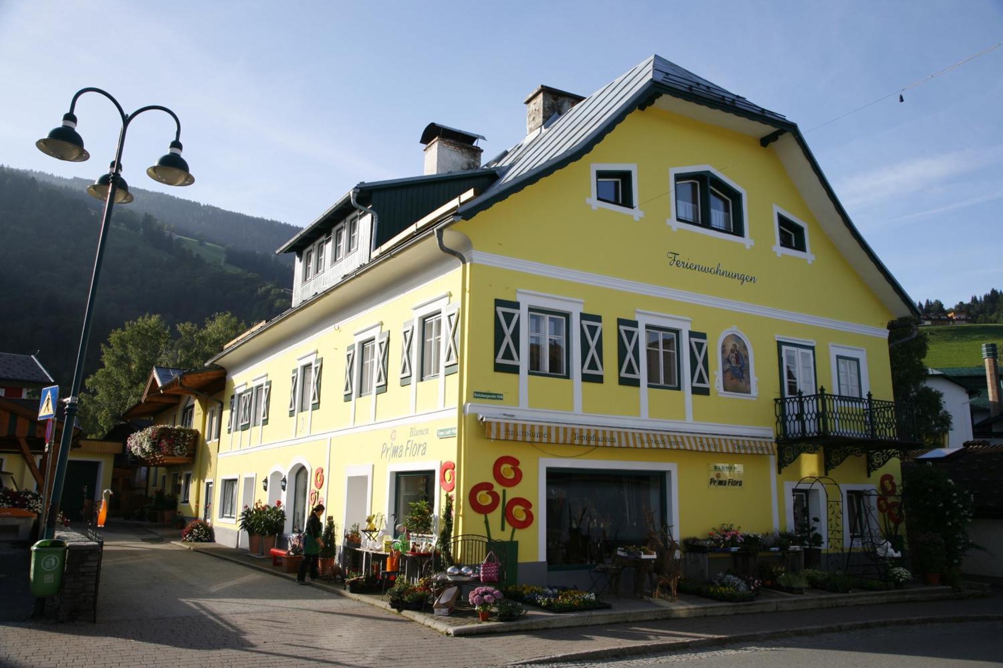 Ferienappartement Royer Schladming Extérieur photo