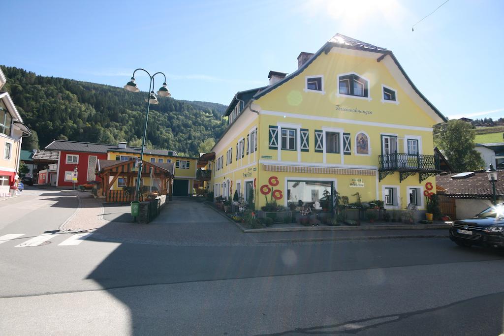 Ferienappartement Royer Schladming Extérieur photo