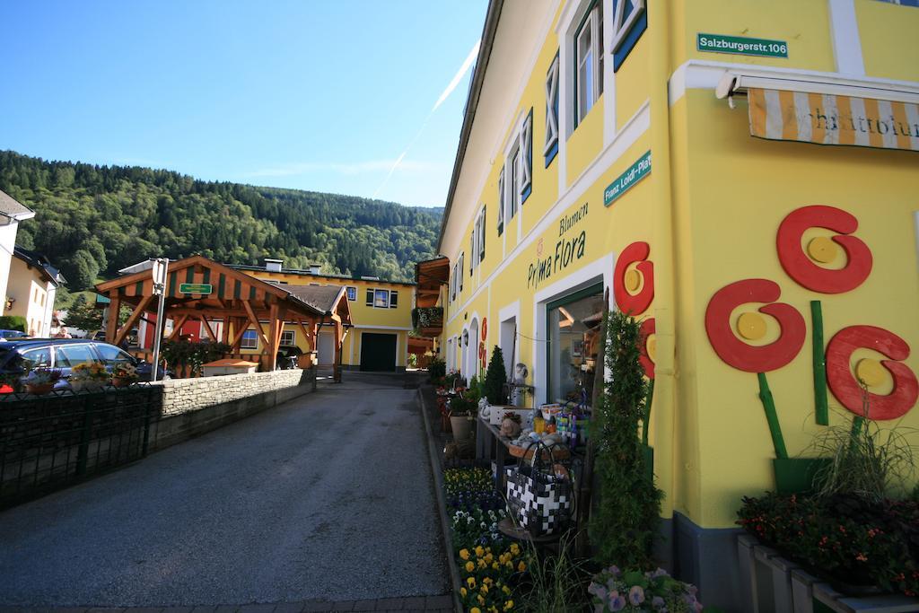Ferienappartement Royer Schladming Extérieur photo