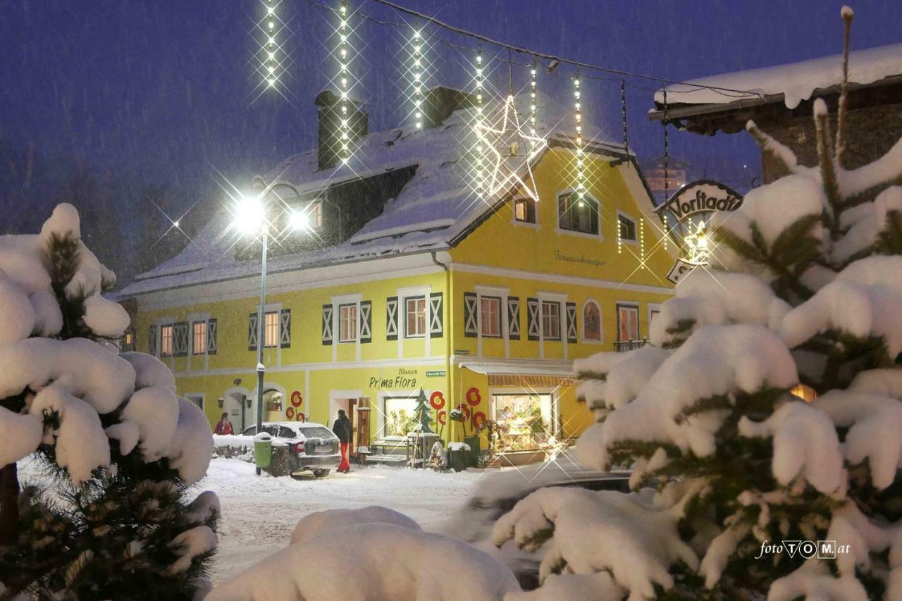 Ferienappartement Royer Schladming Extérieur photo